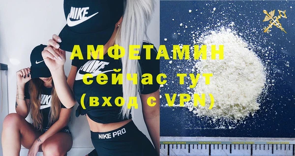 винт Алзамай