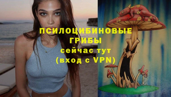 винт Алзамай