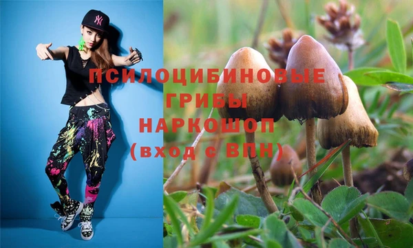 ГАЛЛЮЦИНОГЕННЫЕ ГРИБЫ Корсаков