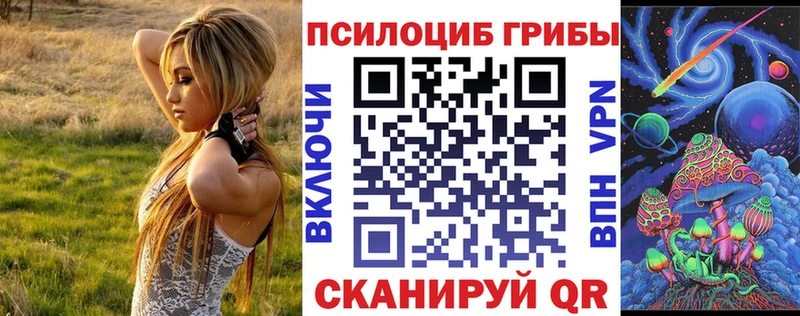 Галлюциногенные грибы Cubensis  купить   Осинники 