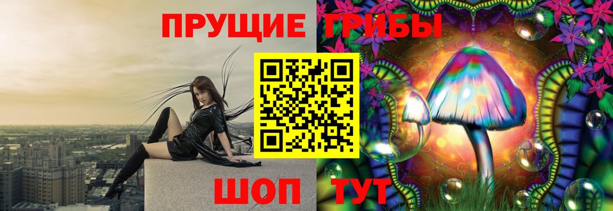 Псилоцибиновые грибы прущие грибы Осинники