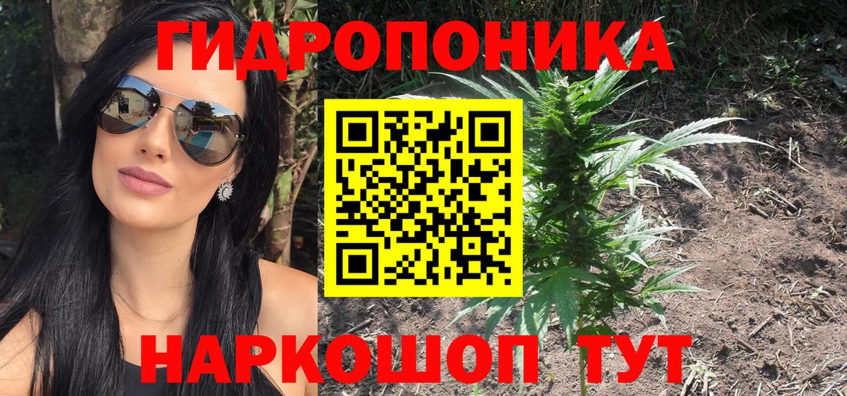 Марихуана Осинники